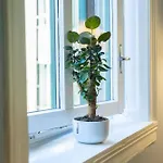 2br - Flat Nearby Station + Operahouse 公寓 *