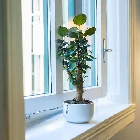 2br - Flat Nearby Station + Operahouse Apartamento *