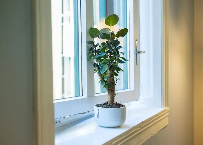 2br - Flat Nearby Station + Operahouse アパート *