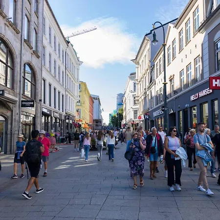 2br - Flat Nearby Station + Operahouse Oslo